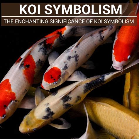 The Symbolic Meaning of Giving Birth to Koi Fish in Your Dream